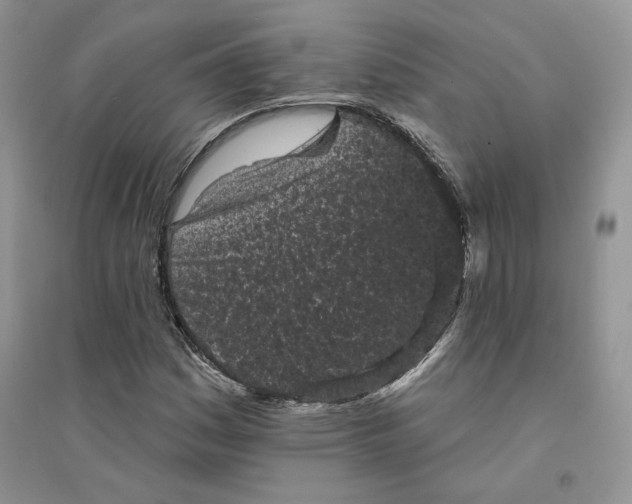 X0000094441161200711291629