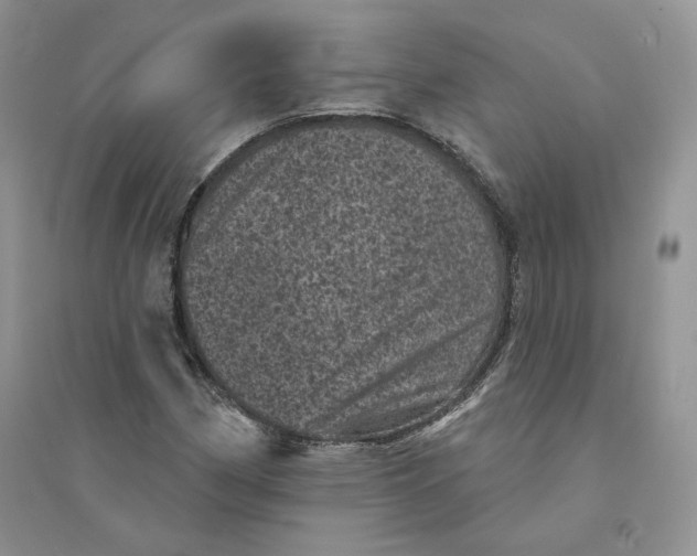 X0000094441162200711291629