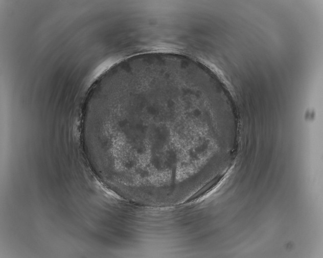 X0000094441163200711291629