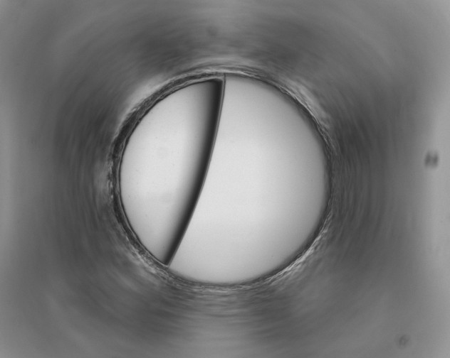 X0000094441164200711291629