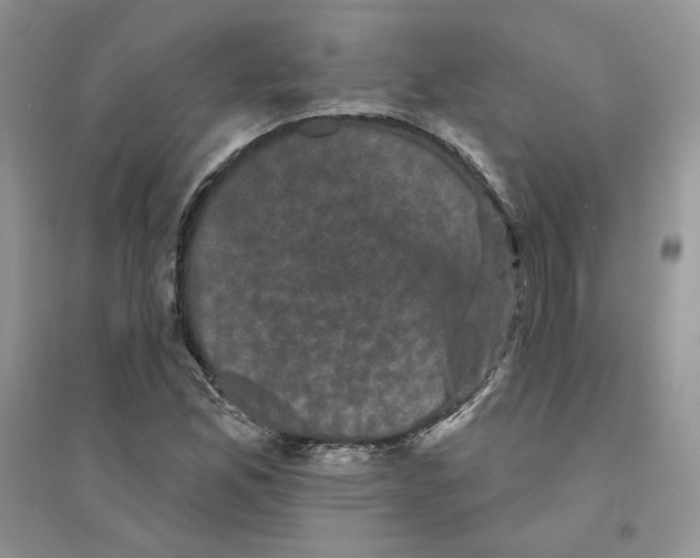 X0000094441165200711291629