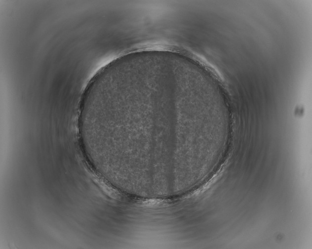 X0000094441166200711291629