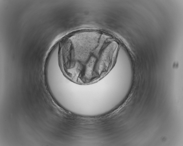 X0000094441168200711291629