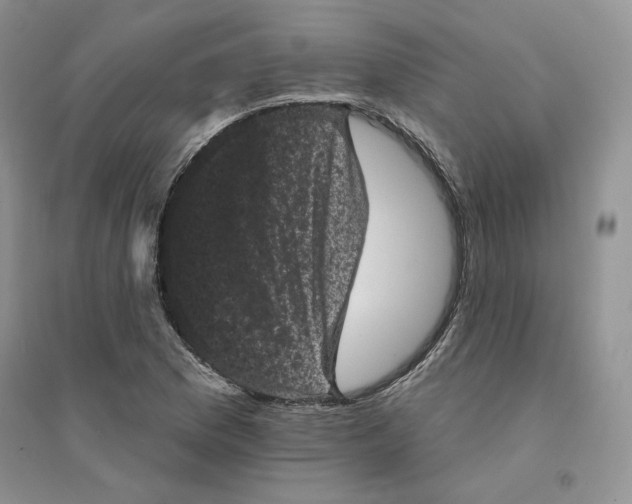 X0000094441169200711291629