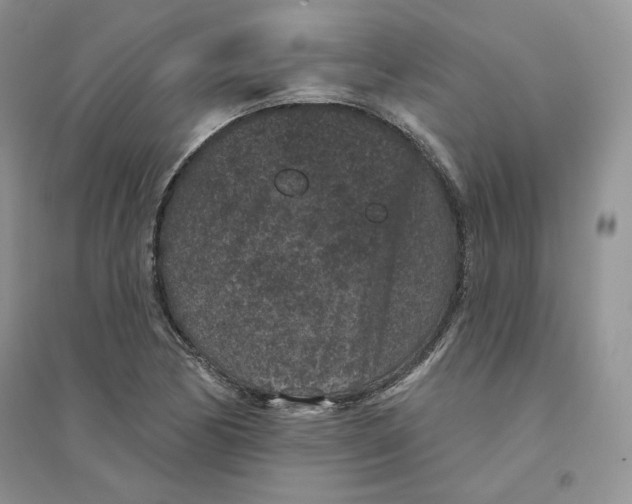 X0000094441170200711291629