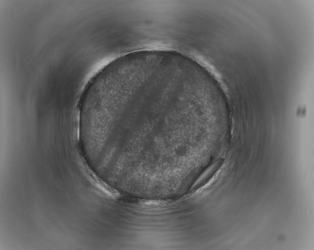 X0000094441171200711291629