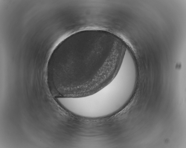 X0000094441173200711291629