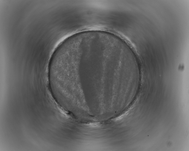 X0000094441174200711291629