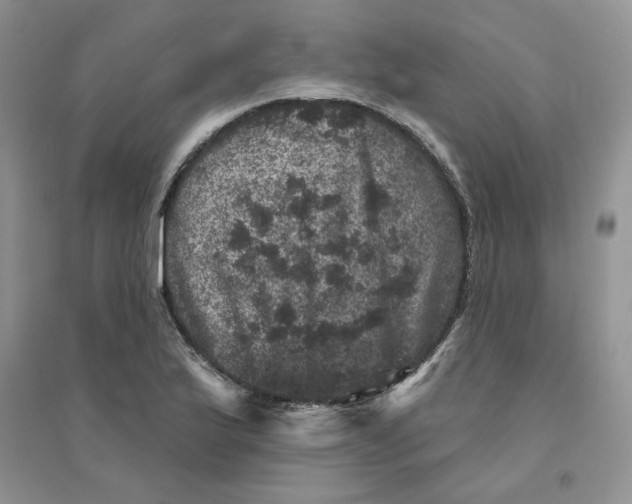 X0000094441175200711291629