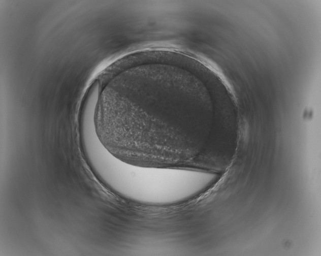 X0000094441176200711291629