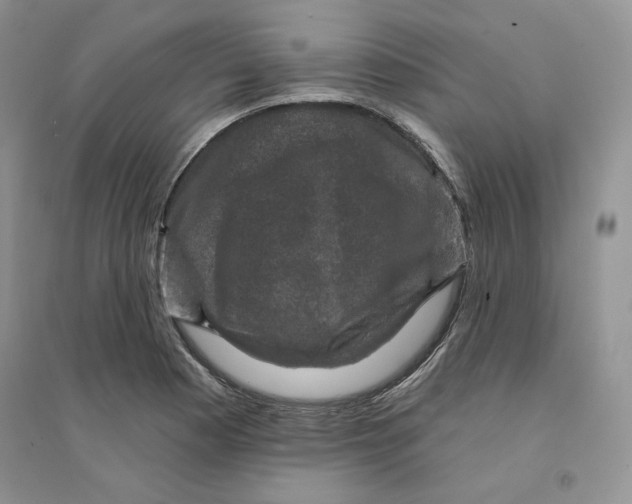 X0000094441177200711291629