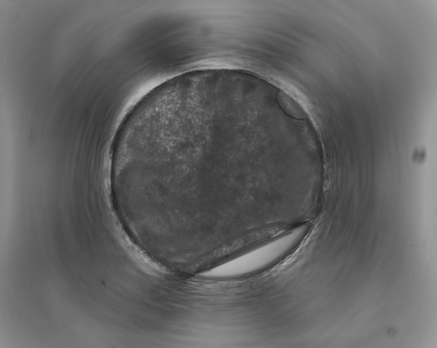 X0000094441179200711291629