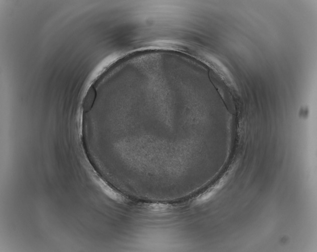 X0000094441180200711291629