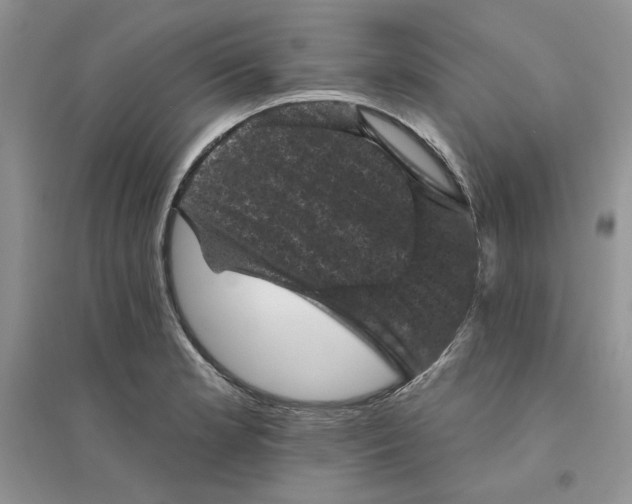 X0000094441181200711291629