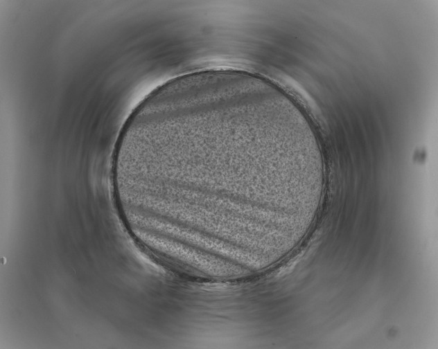 X0000094441182200711291629