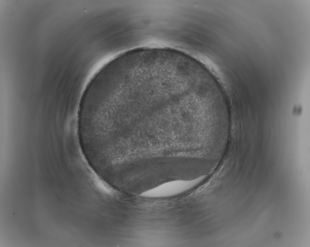 X0000094441183200711291629