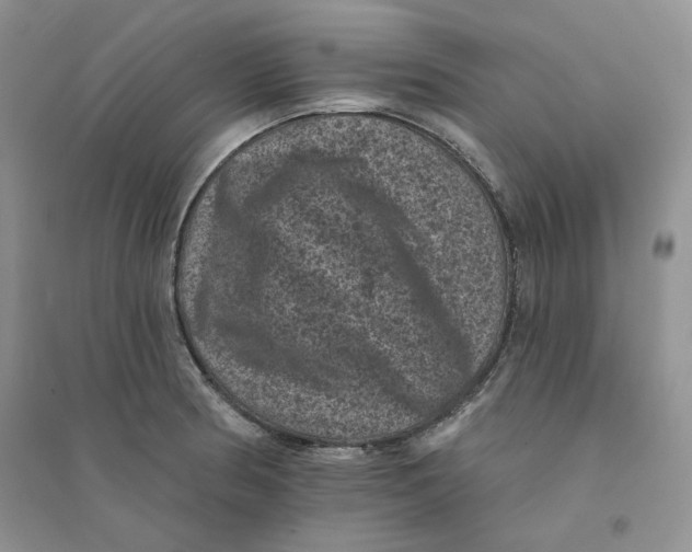 X0000094441186200711291628