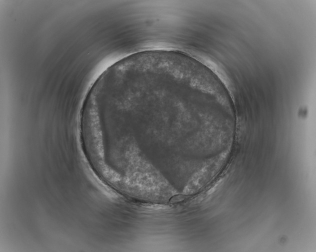 X0000094441187200711291628