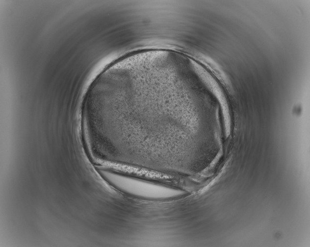 X0000094441188200711291628