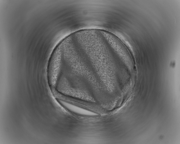 X0000094441189200711291628