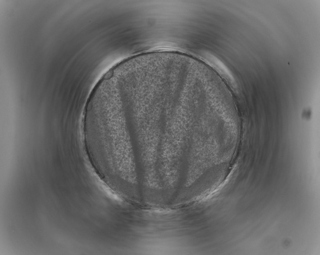 X0000094441190200711291628