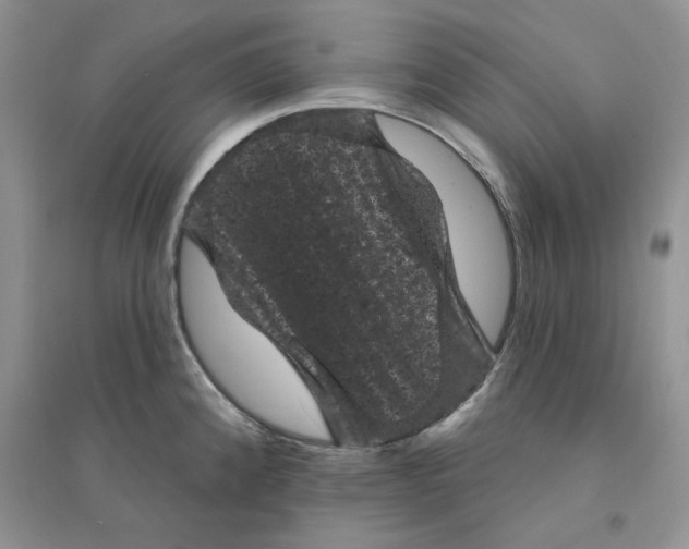 X0000094441192200711291628