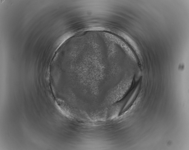 X0000094441193200711291628