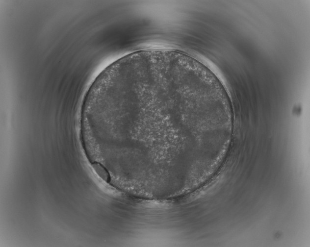 X0000094441195200711291628