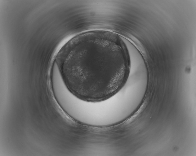 X0000094441196200711291628