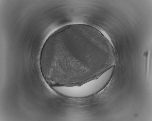 X0000094441197200711291628