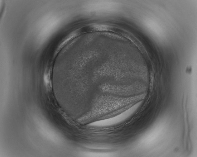 X0000094441198200711291628