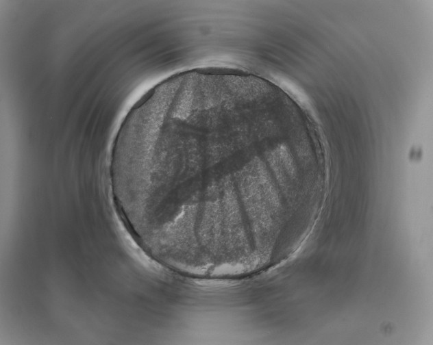 X0000094441200200711291628