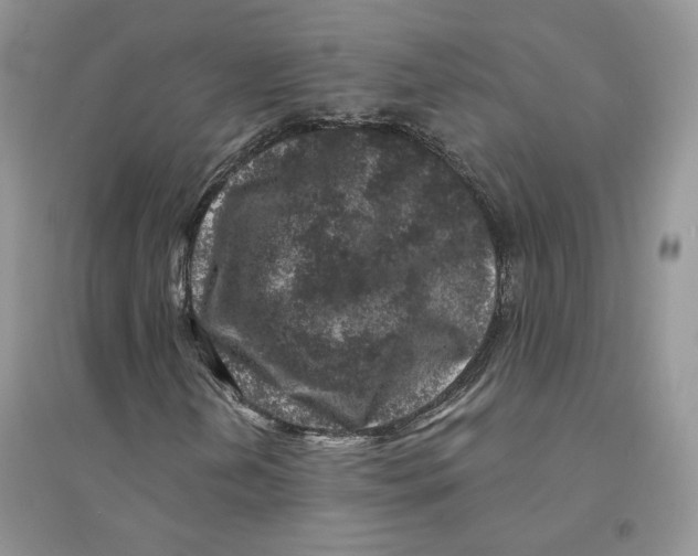 X0000094441202200711291628