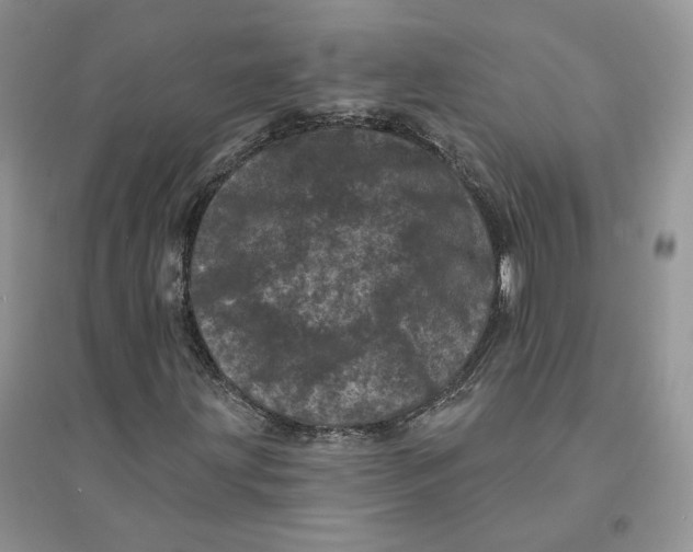 X0000094441203200711291628