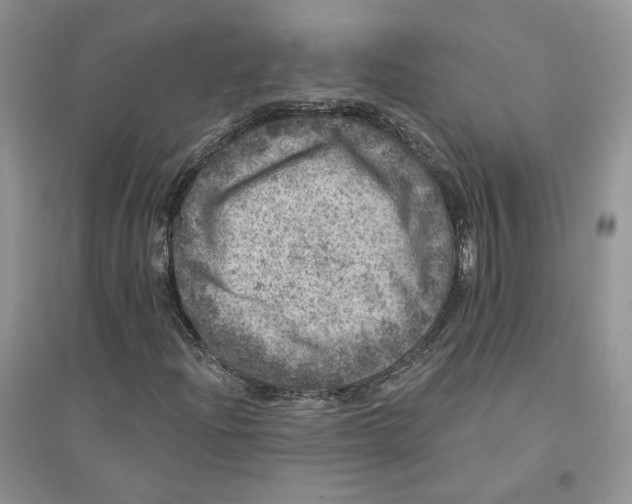 X0000094441204200711291628