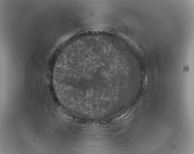 X0000094441207200711291628