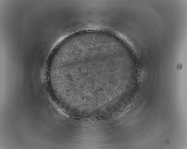 X0000094441208200711291628