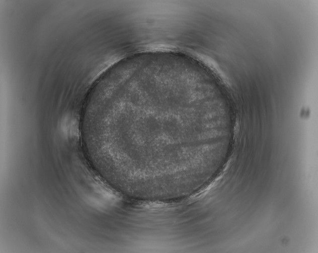 X0000094441209200711291628