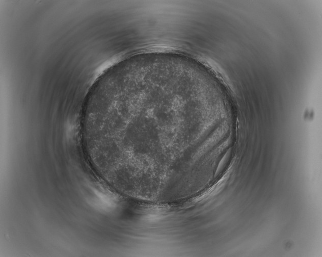 X0000094441210200711291628