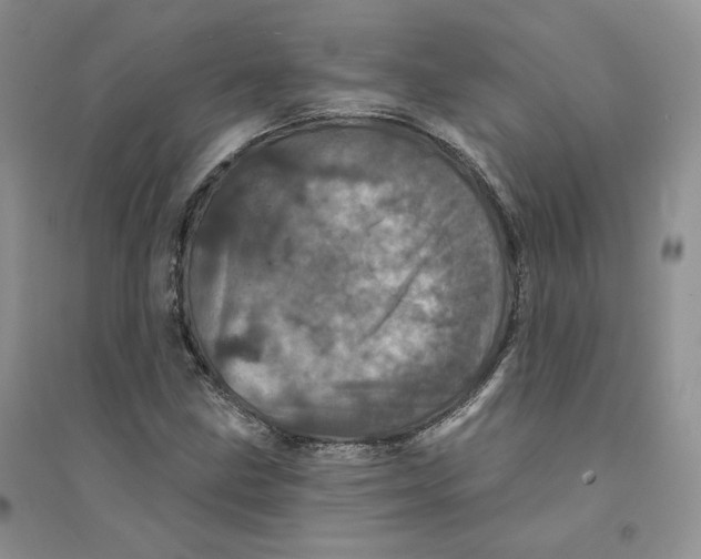 X0000094441211200711291628