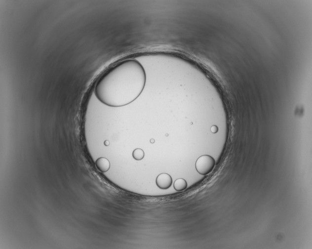 X0000094441212200711291628