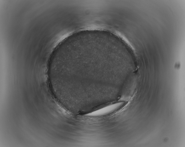 X0000094441213200711291628