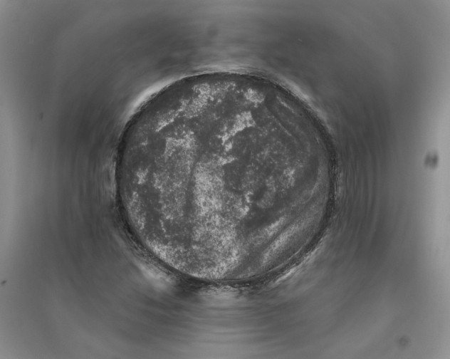 X0000094441214200711291628