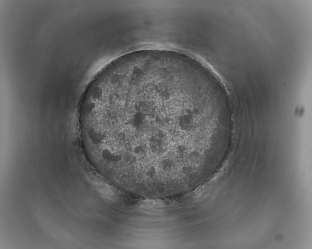 X0000094441215200711291628