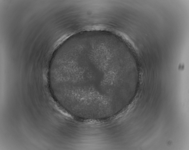 X0000094441217200711291628