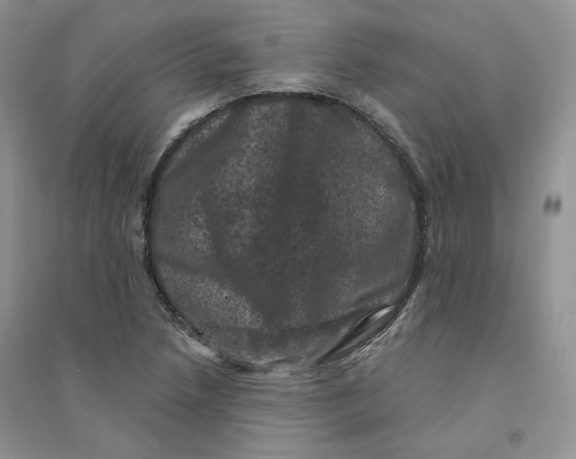 X0000094441218200711291628