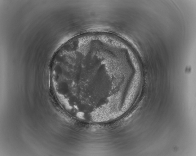 X0000094441219200711291628