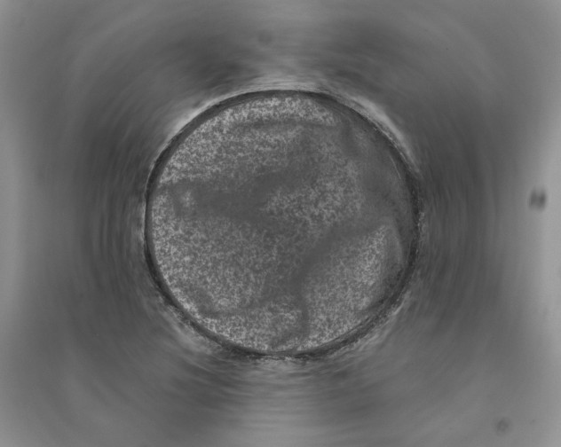 X0000094441220200711291628