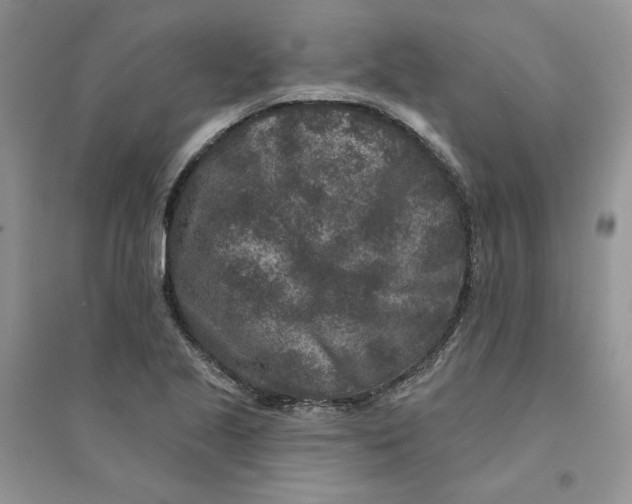 X0000094441221200711291628