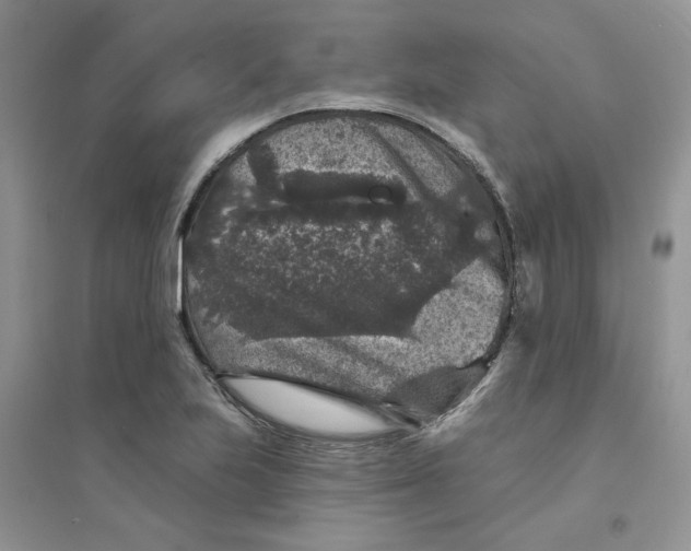 X0000094441223200711291628